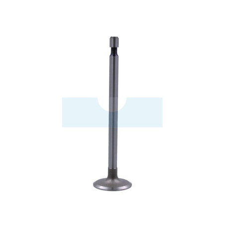 Soupape d’admission pour moteur Briggs & Stratton (262247)