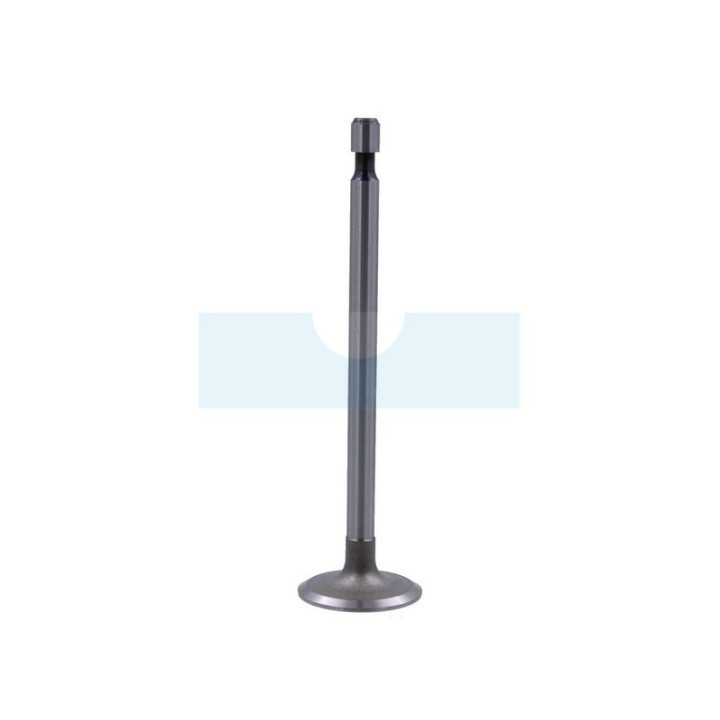 Soupape d’admission pour moteur Briggs & Stratton (262247)