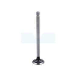 Soupape d'échappement pour moteur Briggs & Stratton (262246)