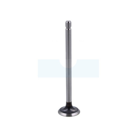 Soupape d'échappement pour moteur Briggs & Stratton (262246)
