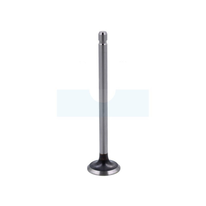 Soupape d'échappement pour moteur Briggs & Stratton (262246)