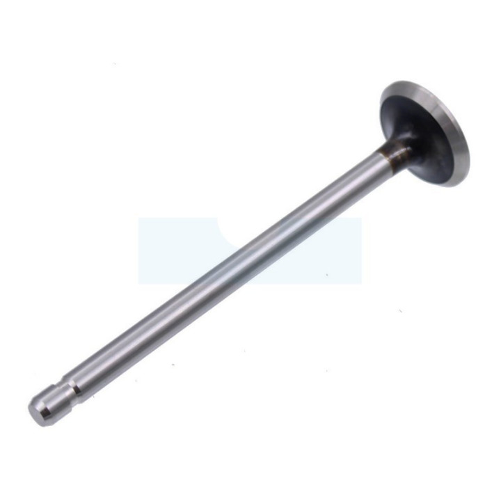 Soupape d'échappement pour moteur Briggs & Stratton (262246)