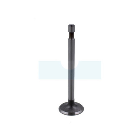 Soupape d'admission pour moteur Briggs & Stratton (262652)