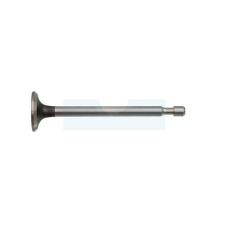 Soupape d'échappement pour moteur Briggs & Stratton (262651)
