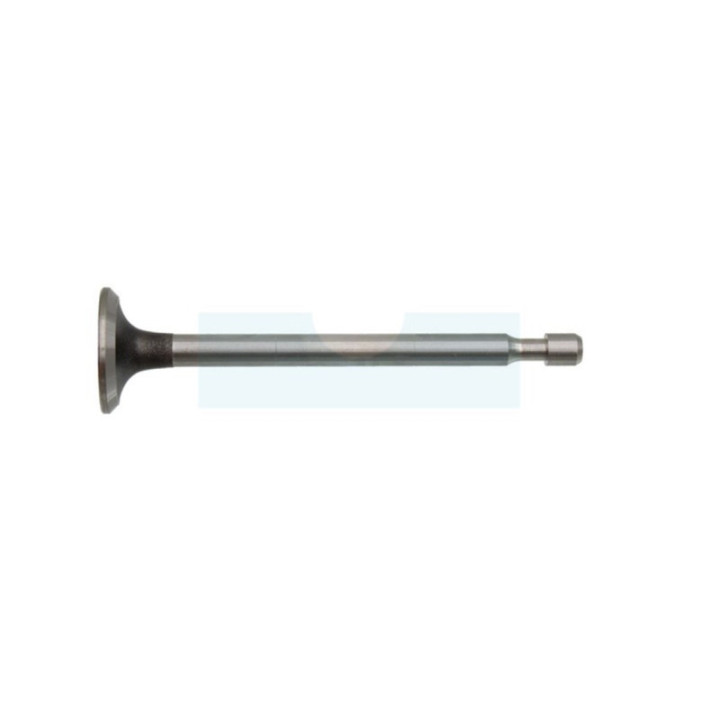 Soupape d'échappement pour moteur Briggs & Stratton (262651)