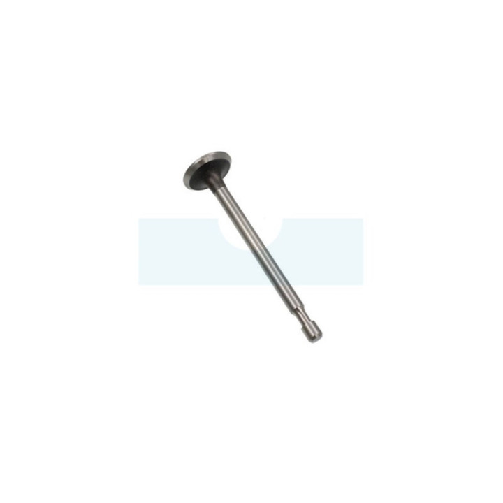 Soupape d'échappement pour moteur Briggs & Stratton (262651)