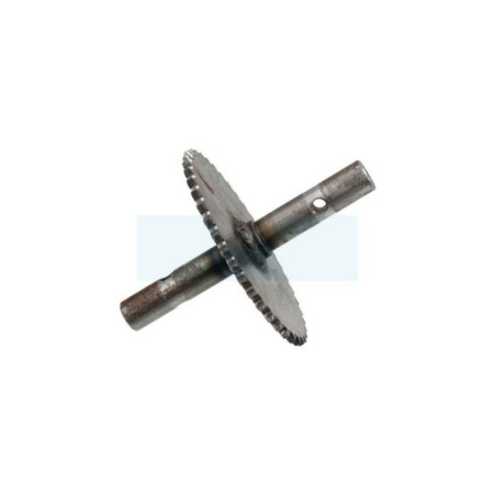 Arbre + pignon inférieur pour motobineuse Roques & Lecoeur (0306050009)