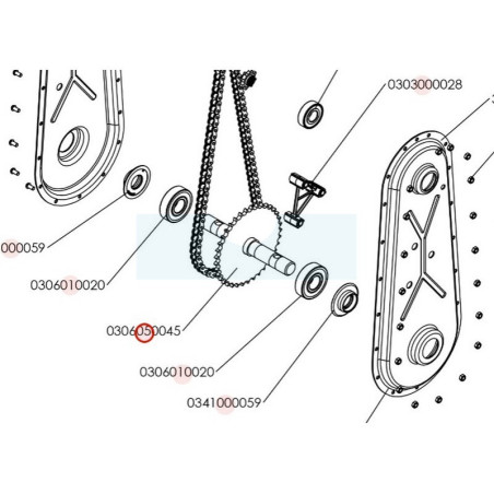 Arbre + pignon inférieur pour motobineuse Roques & Lecoeur (0306050045)