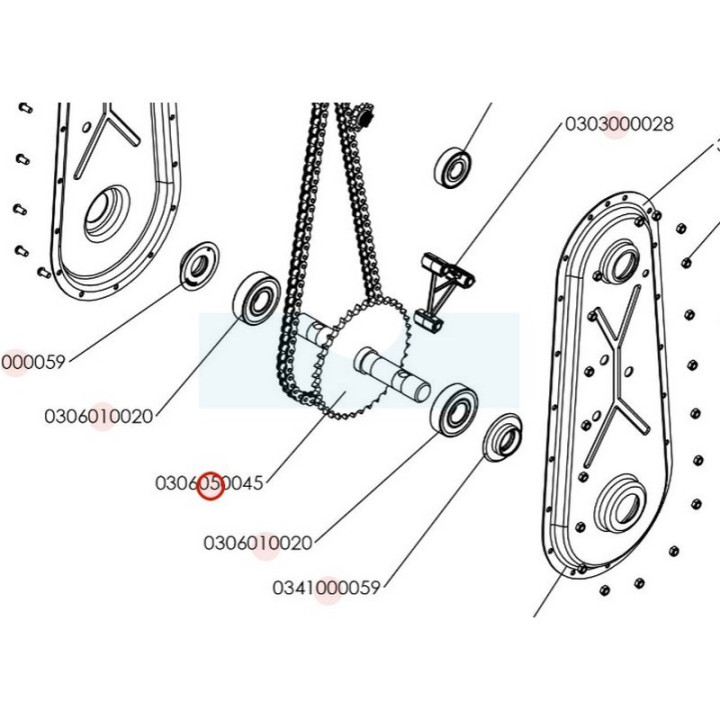 Arbre + pignon inférieur pour motobineuse Roques & Lecoeur (0306050045)