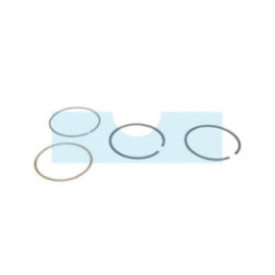 Kit segment pour moteur Kohler (1210807S)
