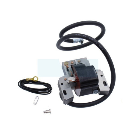 Bobine d'allumage pour moteur Briggs & Stratton (398811)