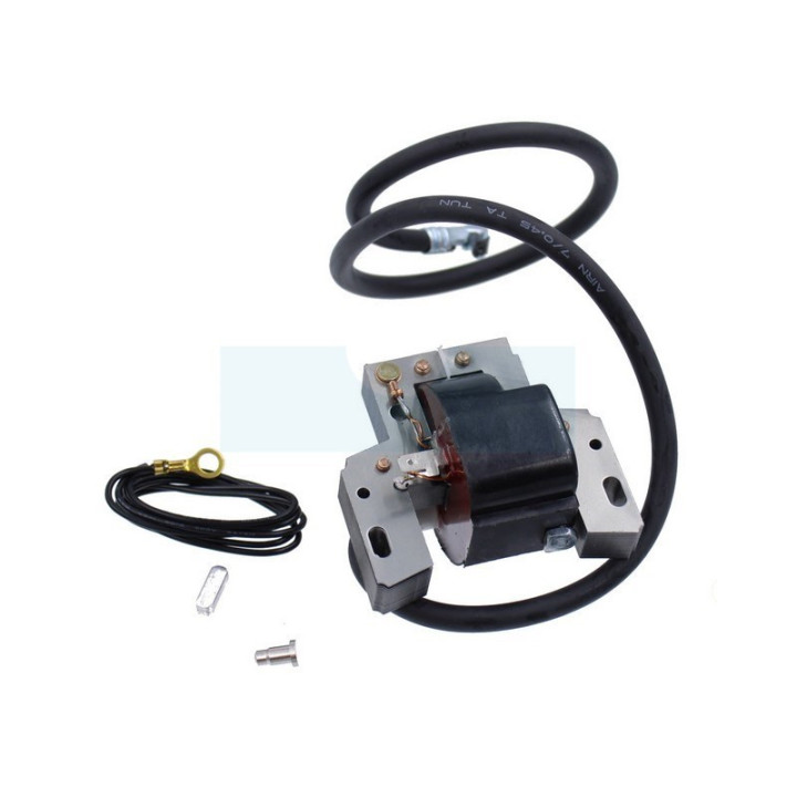 Bobine d'allumage pour moteur Briggs & Stratton (398811)