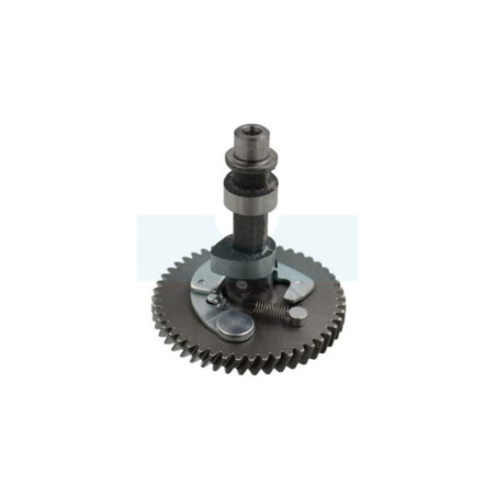 Arbre à cames pour moteur Kohler (1401012S)