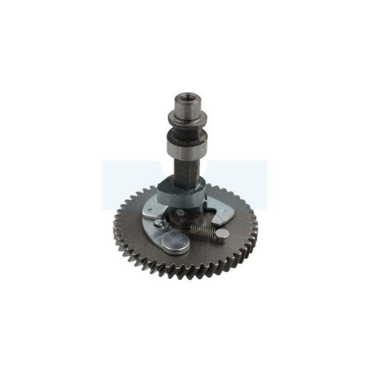 Arbre à cames pour moteur Kohler (1401012S)
