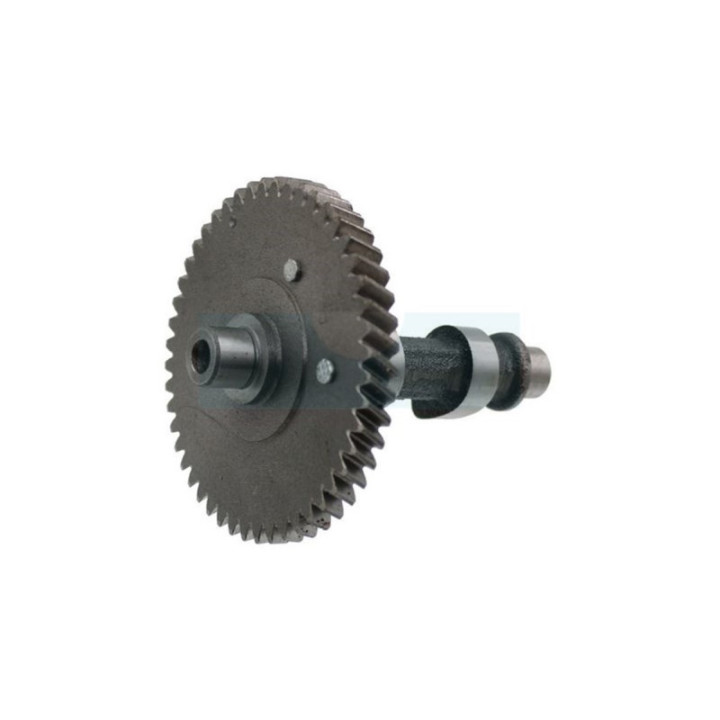Arbre à cames pour moteur Kohler (1401012S)