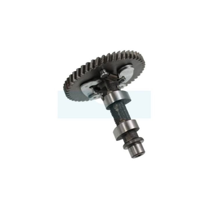 Arbre à cames pour moteur Kohler (1401012S)