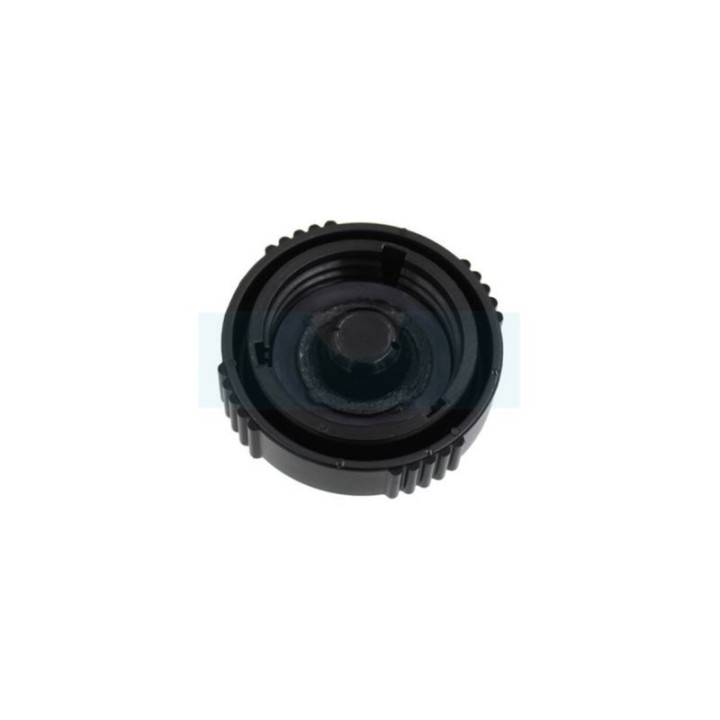 Bouchon de réservoir pour moteur Lombardini (9043096)