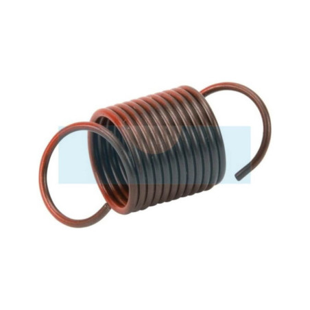 Ressort de régulateur pour moteur Lombardini (5655210)