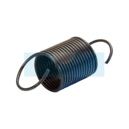 Ressort de régulateur pour moteur Lombardini (5655241)