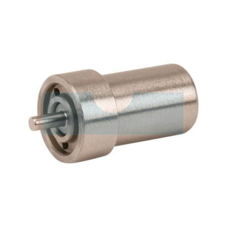 Injecteur pour moteur Lombardini (6531468)
