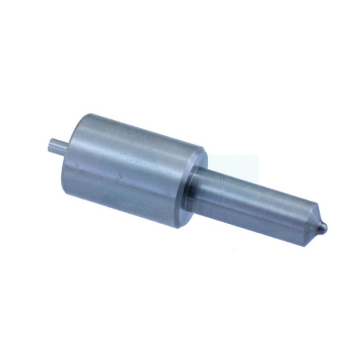 Injecteur pour moteur Lombardini (6531425)
