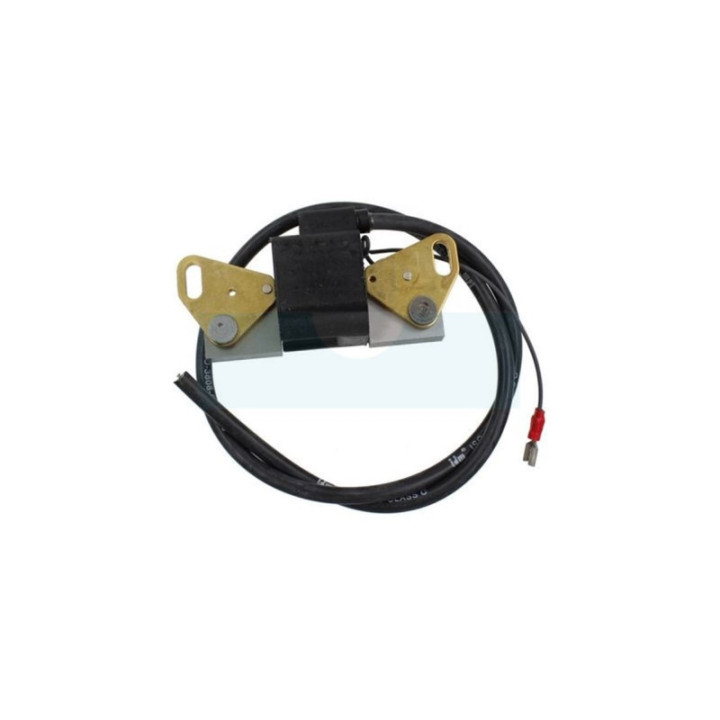 Bobine d'allumage pour moteur Lombardini (1567208)