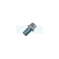 Bouchon de vidange pour moteur Robin / Subaru (11007Z01011000)