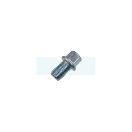 Bouchon de vidange pour moteur Robin / Subaru (11007Z01011000)
