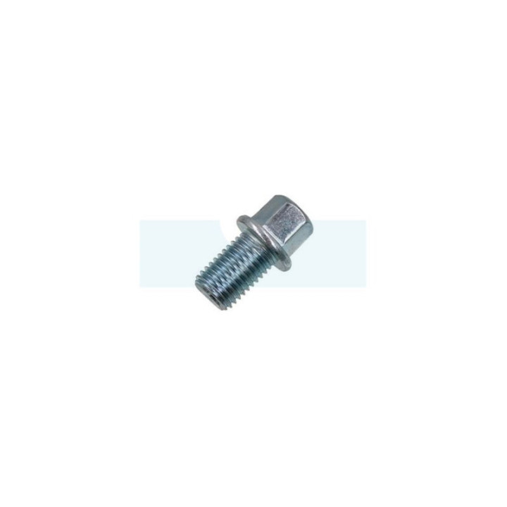 Bouchon de vidange pour moteur Robin / Subaru (11007Z01011000)