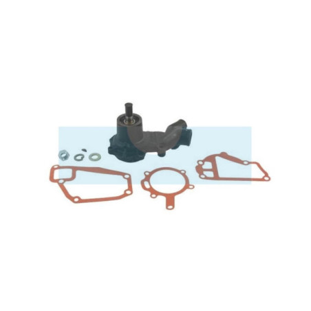 Pompe à eau pour moteur Lombardini (6584445)