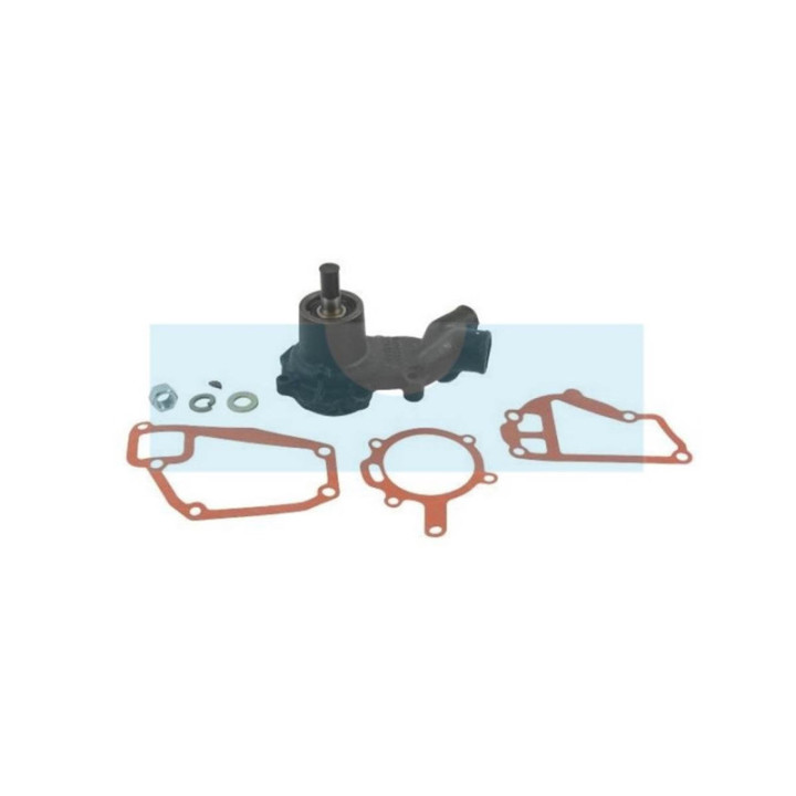 Pompe à eau pour moteur Lombardini (6584445)