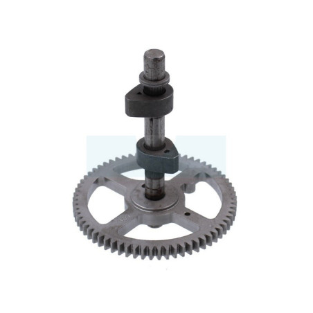 Arbre à cames pour moteur Briggs & Stratton (697668)