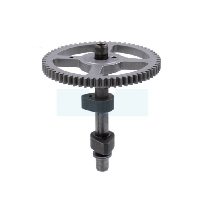 Arbre à cames pour moteur Briggs & Stratton (697668)