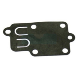 Membrane pompe pour moteur Briggs & Stratton (270026)
