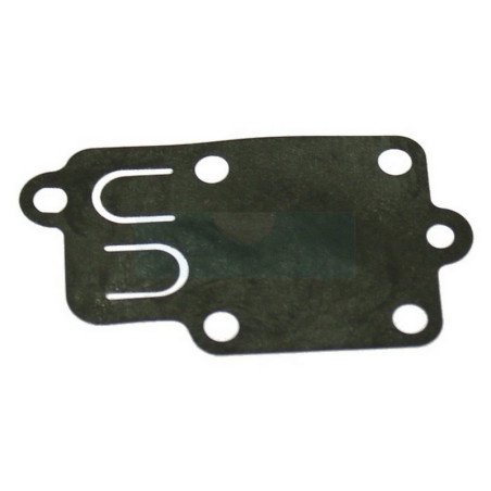 Membrane pompe pour moteur Briggs & Stratton (270026)