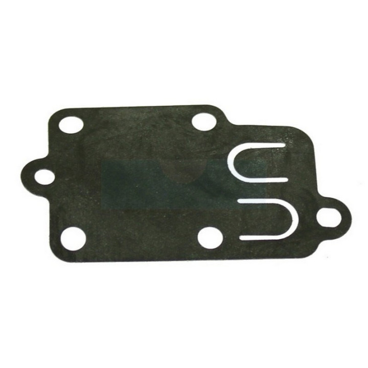 Membrane pompe pour moteur Briggs & Stratton (270026)
