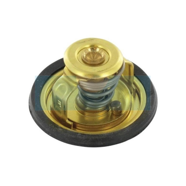Thermostat pour moteur Lombardini (9195001)