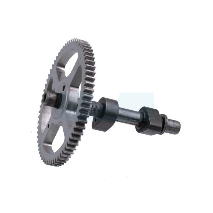 Arbre à cames pour moteur Briggs & Stratton (697668)