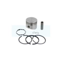 Piston pour moteur Briggs & Stratton (391673)