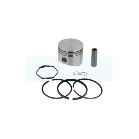 Piston pour moteur Briggs & Stratton (391673)