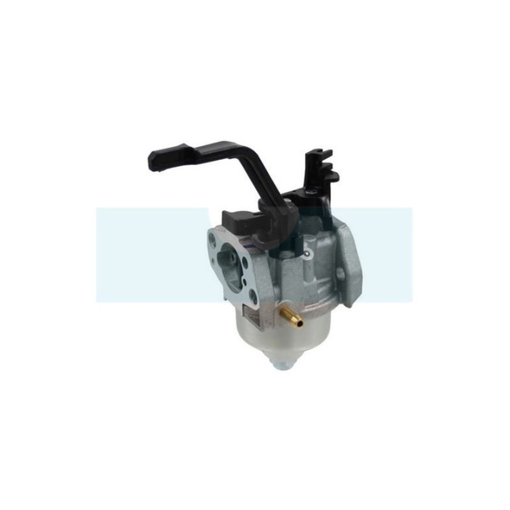 Carburateur pour moteur Honda (16100ZH8822)