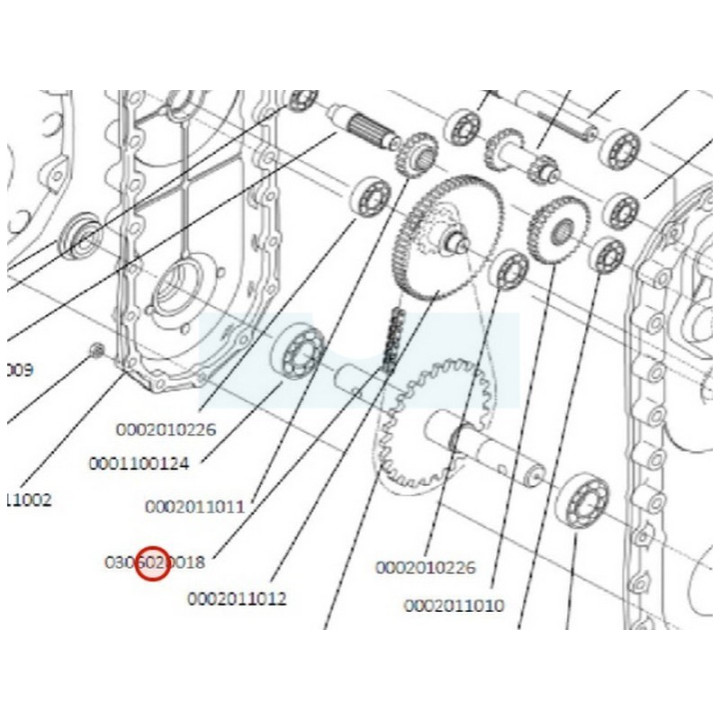Chaîne de transmission pour motobineuse Roques & Lecoeur (0306020018)
