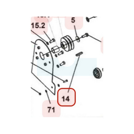 Clavette de poulie moteur pour scarificateur Weibang (1101005030A)
