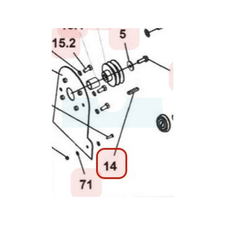 Clavette de poulie moteur pour scarificateur Weibang (1101005030A)