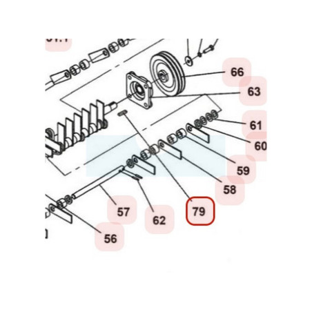 Clavette de rotor pour scarificateur Weibang (1101006020)