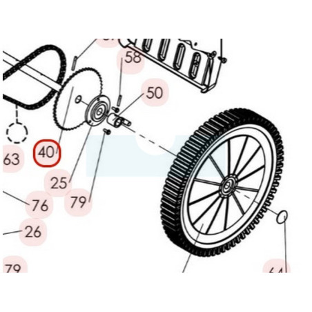 Couronne de transmission pour tondeuse débroussailleuse / fraise à neige Sarp (0306050029)