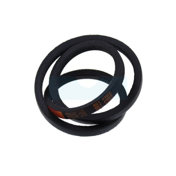 Courroie de transmission pour motobineuse Roques & Lecoeur (0306030053)