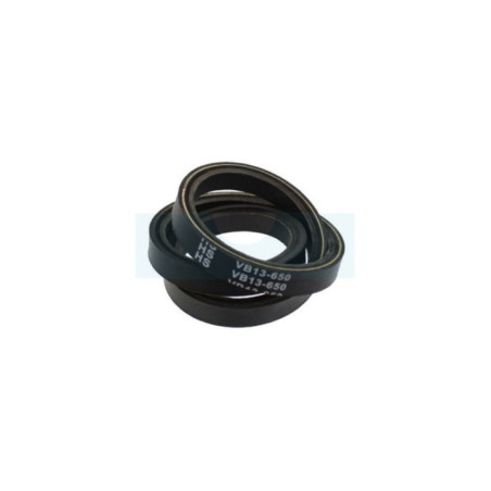 Courroie pour scarificateur Roques & Lecoeur (TBA00QB00000)