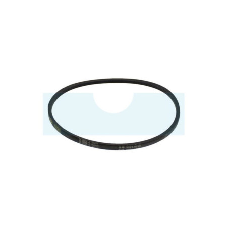 Courroie pour tondeuse Roques & Lecoeur (TBA00EB00000)