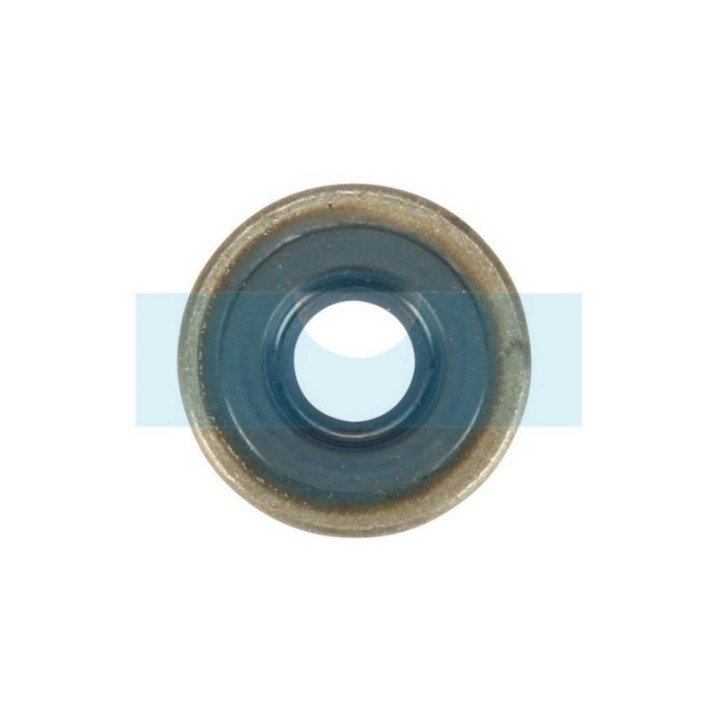 Joint spi pour Solo (0054248)